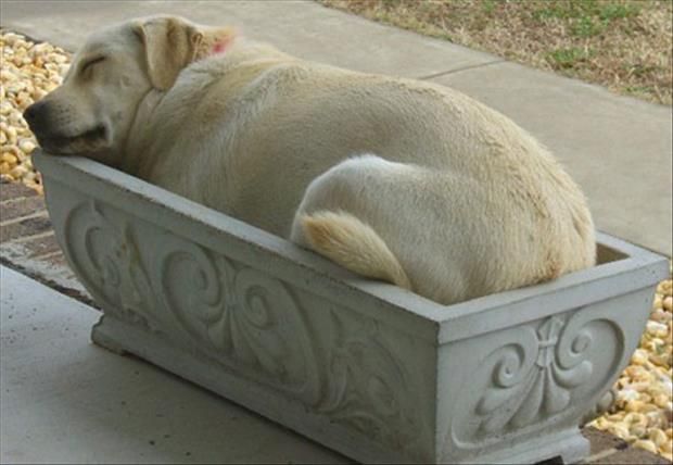 As long as you fit, then you can sleep in it! 