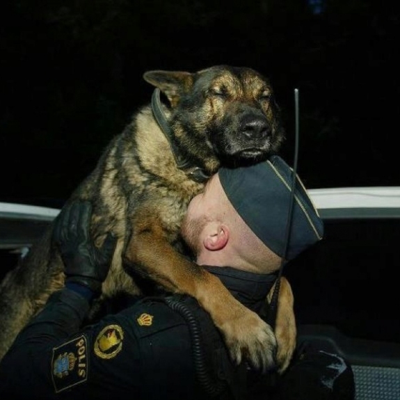 A soldier and a dog hug each other in their reunion. Just look at that dog’s face! Full of happiness and love! 