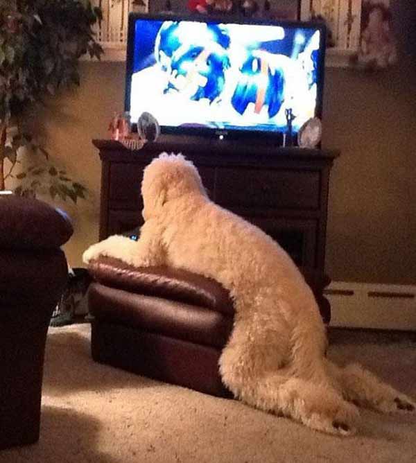 This is the most comfortable position for watching TV. 
