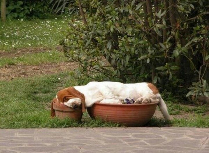 Sleeping on two pots? No problem..
