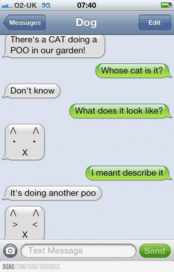 Just look at the cat’s face when doing another poo! LOL! 