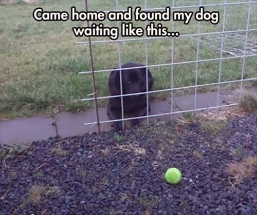 Oh sweetie. Just go to your right and get that ball! 