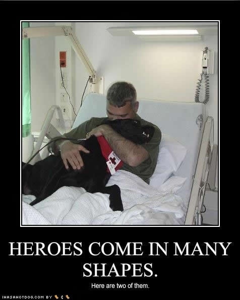 Soldier is hugging the dog that saved him. Heroes come in many shapes indeed. 