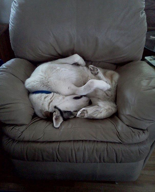Well I guess this is comfortable for him. LOL!