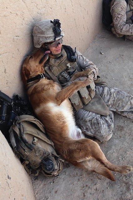 After a hard day in the field, it's always comforting to be reunited with loyal friend who showers you with love and kisses.