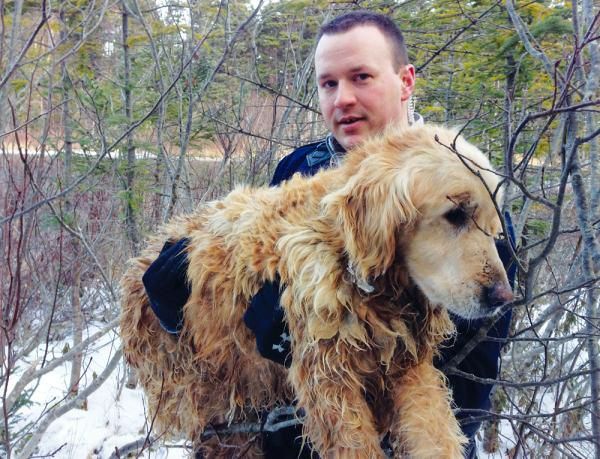 This cop saved an elderly  dog from an icy pond.