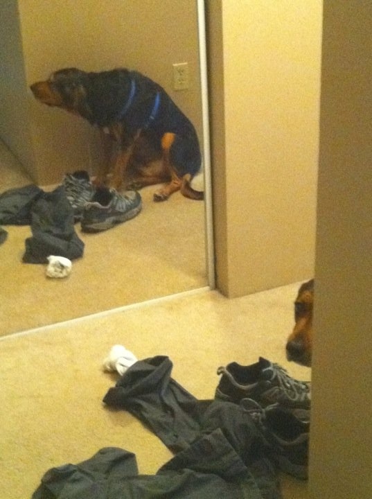 That hiding place could've worked if the mirror wasn't there.