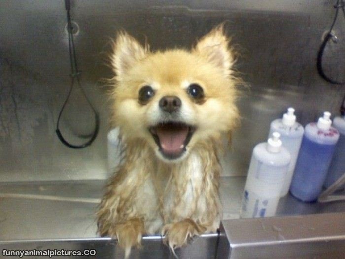 Is it bath time? Weeee!! 