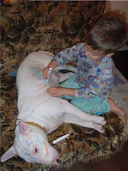If there's no paper around, a kid can use the doggy for his artwork! 