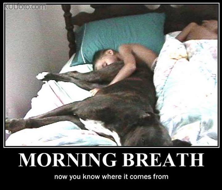 Now you know where morning breath comes from. 