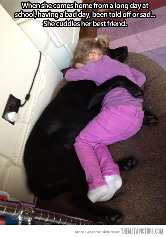When a kid is having a having a bad day, she can always count on her dog to make her feel better. 
