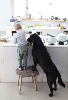 Together, they will do all sorts of things in the kitchen!