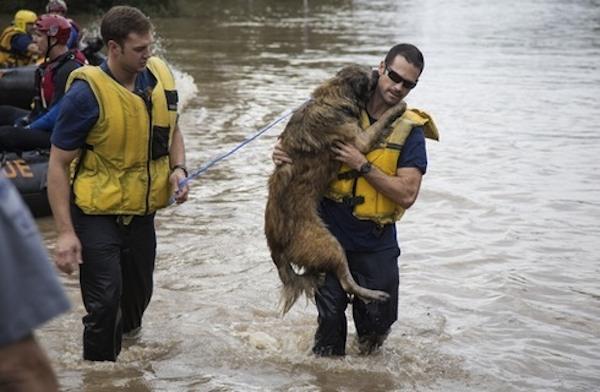 They are indeed amazing and brave! 