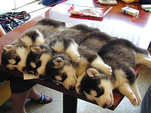 Or you could always share a table. You can make it work by cuddling the right way!