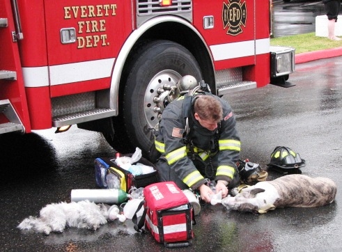 This fireman is reviving the dog he saved. Such a touching and inspiring photo!