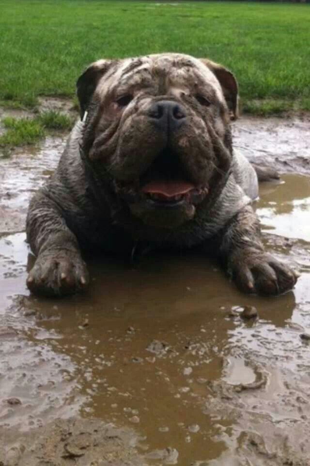 I love mud! 