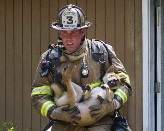 This fireman is carrying this dog to safety. And just look at that doggy's face!