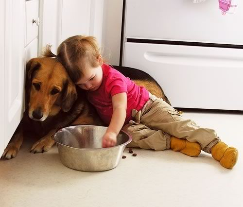 If you leave your kid alone with the dog, your kid might steal the dog's food! 