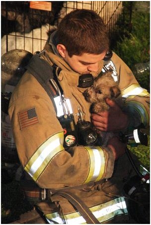 This fireman hugs the dog he rescued. What a sweet photo!