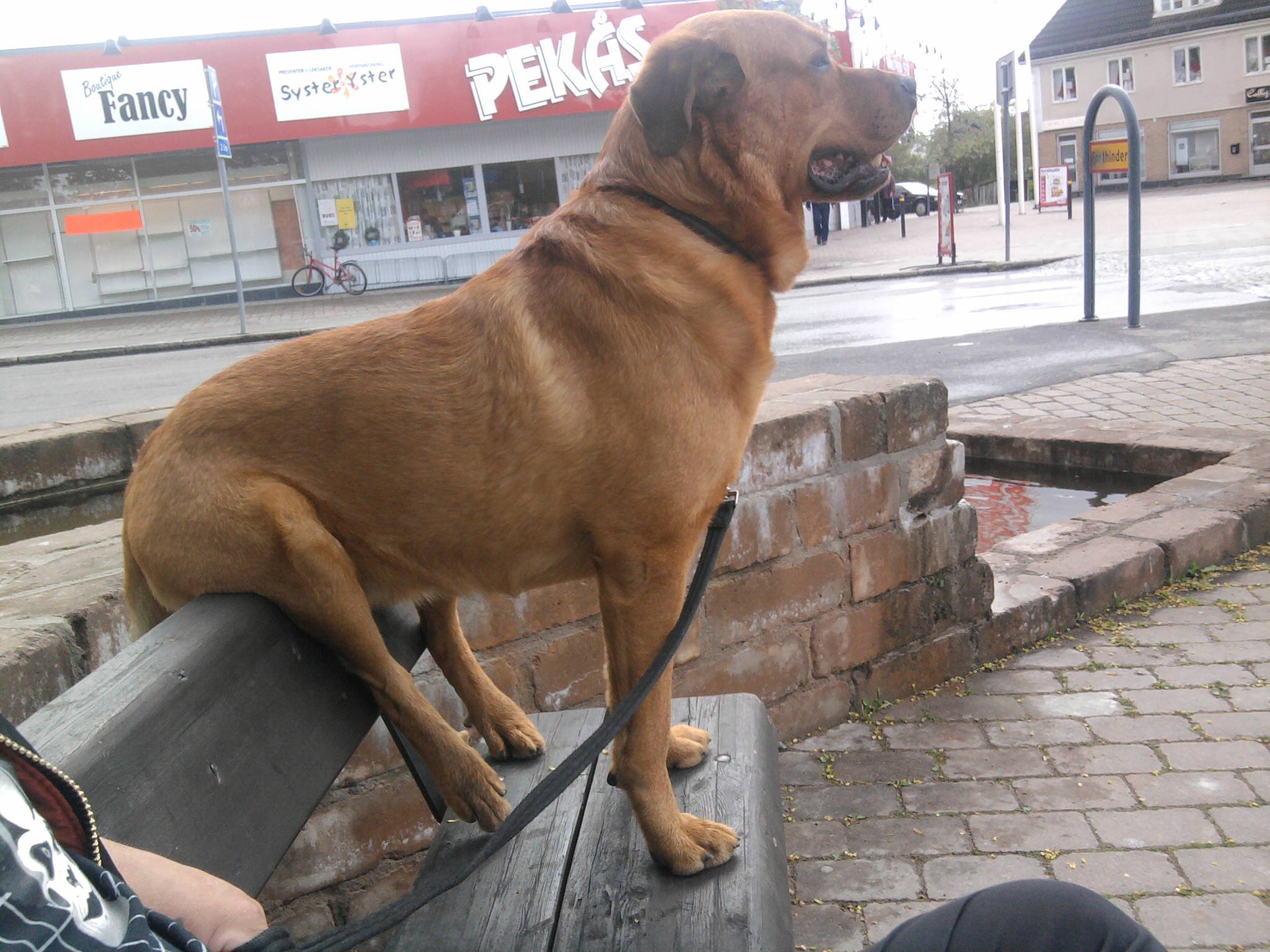 That's not how you sit on the bench! 