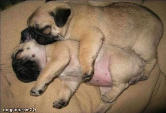 Spooning is a great way to cuddle! 