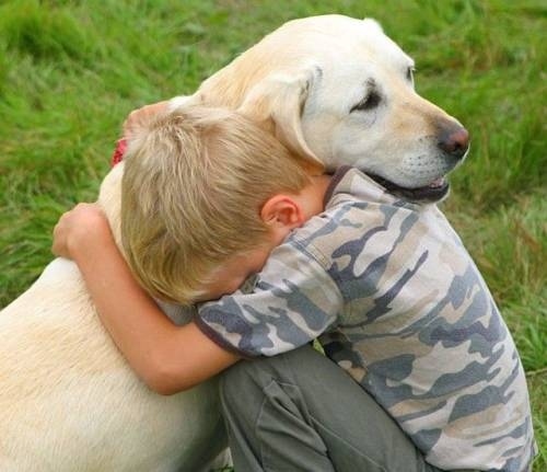 Need a hug? A kid can always get that from his dog!