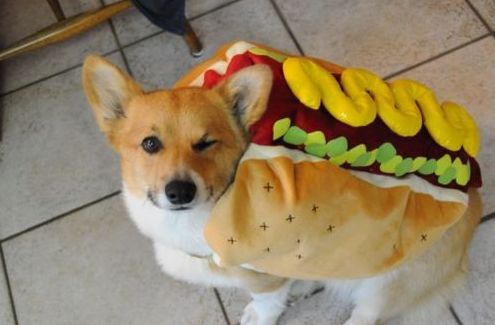 Want a hotdog? 
