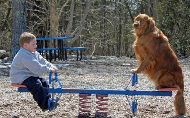 When there's no one to play with at the park, your dog will be happy to do the job!