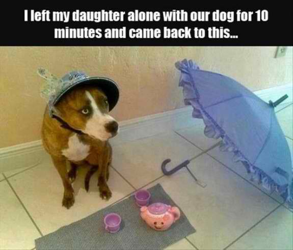 Your lil girl might dress up your doggy, and they'll have tea time together!