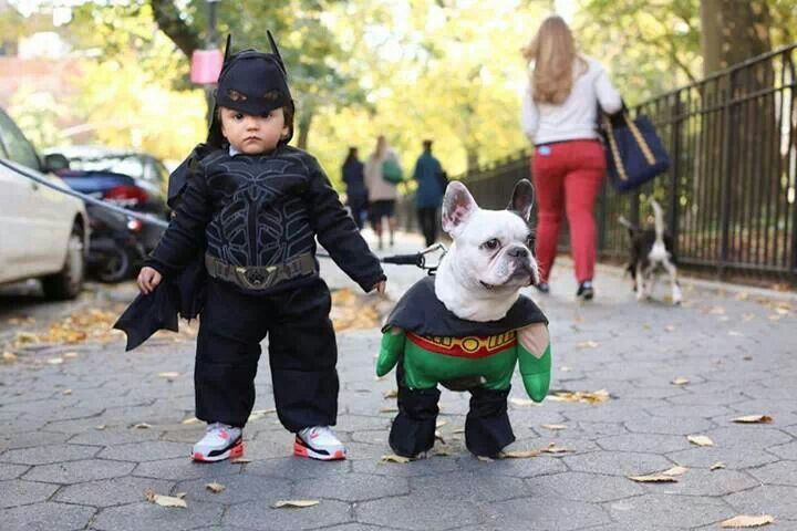 Dogs are great companions too, especially during Halloween! Trick or treat!