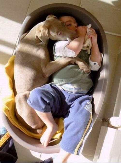 If there's no other dog to cuddle with, you can always share your bed with the tiny human. 