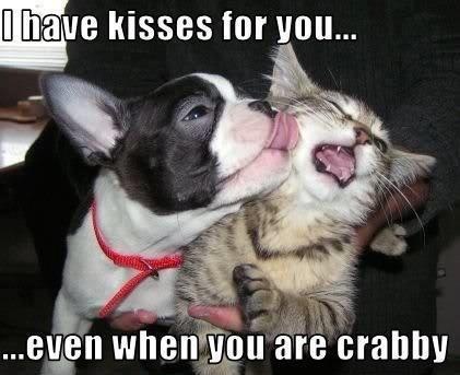 Dog: I love you, even when you're crabby and grumpy! 