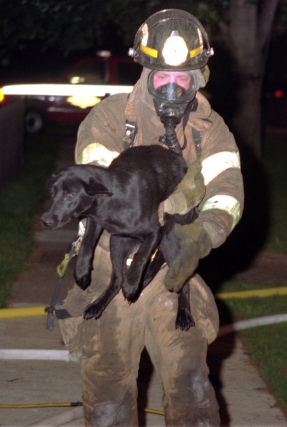 This fireman rescued this dog from the fire and is carrying him away to a safer place. 