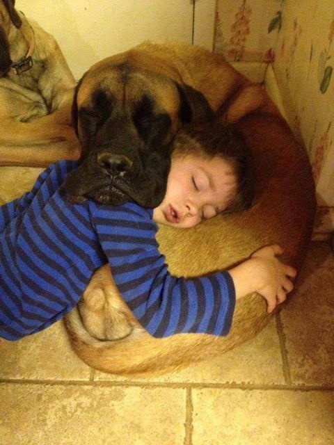 Every kid needs someone to cuddle with at the end of the day!