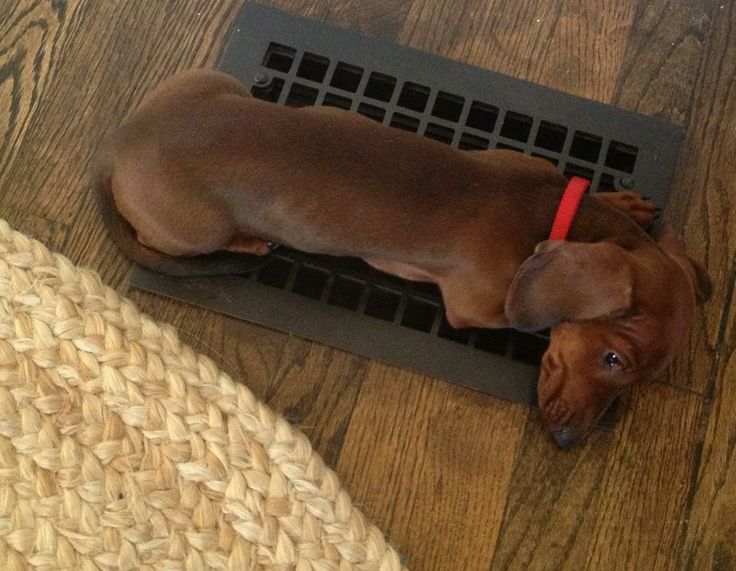 The perfect warm spot!