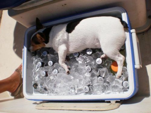 It was a hot day and I needed to cool off!
