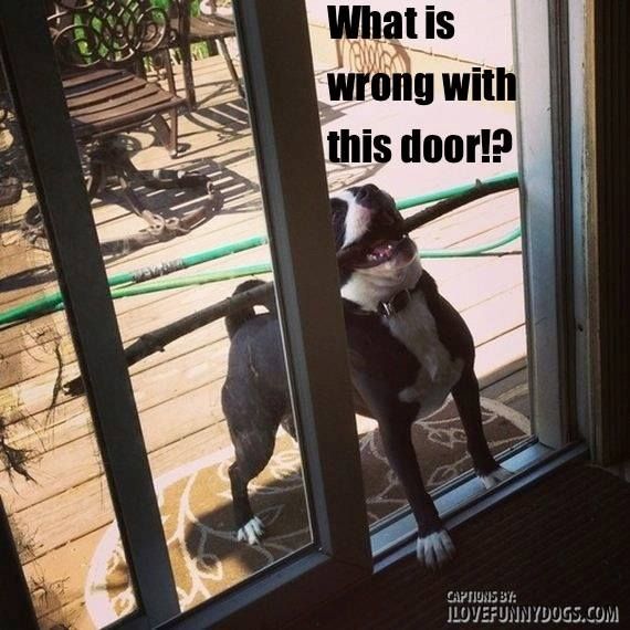 There's something wrong with this door!!