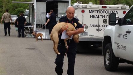 12 Powerful Photos Of Dogs Being Rescued From Their Abusers ...