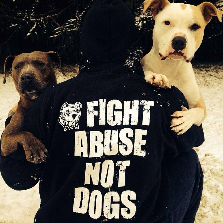 Fight animal abuse! 