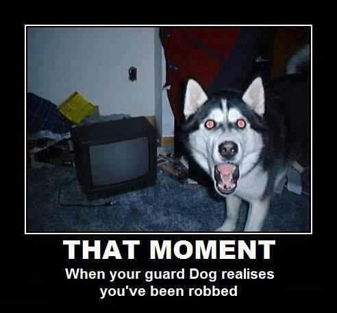 The moment when you realize you've been robbed!!