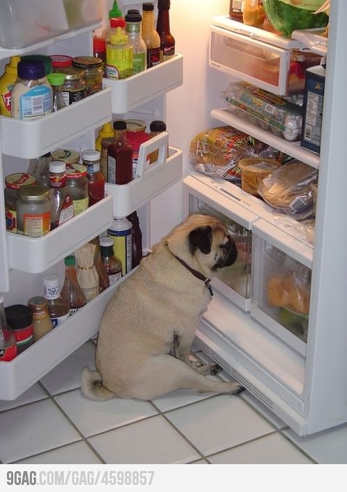 If only the fridge was open all the time, this would be the best spot!