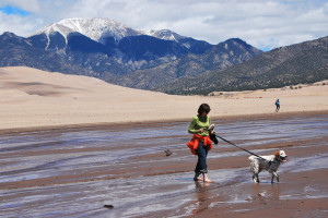 Medano creek is perfect for wading with your dog. Source: NPS Photo