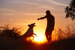 Playing with your dog outside at sunset minimize the temperature changes your dog experiences each day.