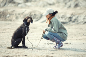 Behavior Modification training is about more than just training your dog to listen - it's about understanding how your dog thinks