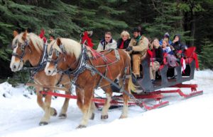 A sleigh ride in winter - what could be better?
