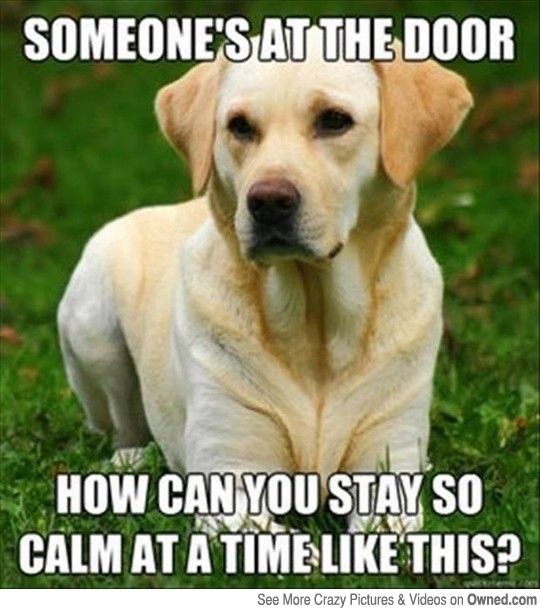 How can you stay calm when there's someone at the door? 