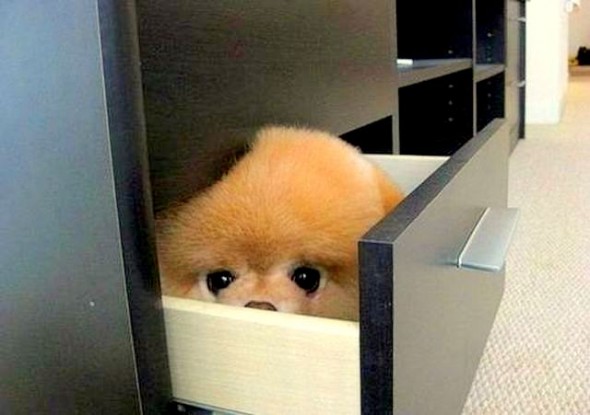 You found my hiding place!