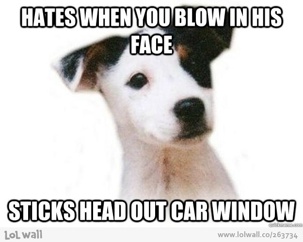 I don't like it when you blow on my face...but I can tolerate the strong wind when we go for a ride! 