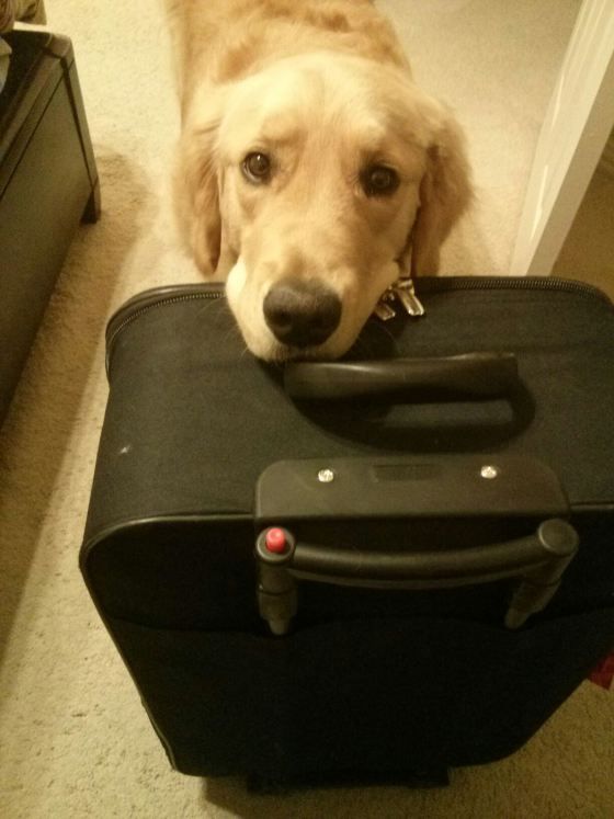 Please take me with you...