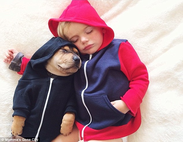 Awww..Theo and Beau have become really famous! They look so cute together!